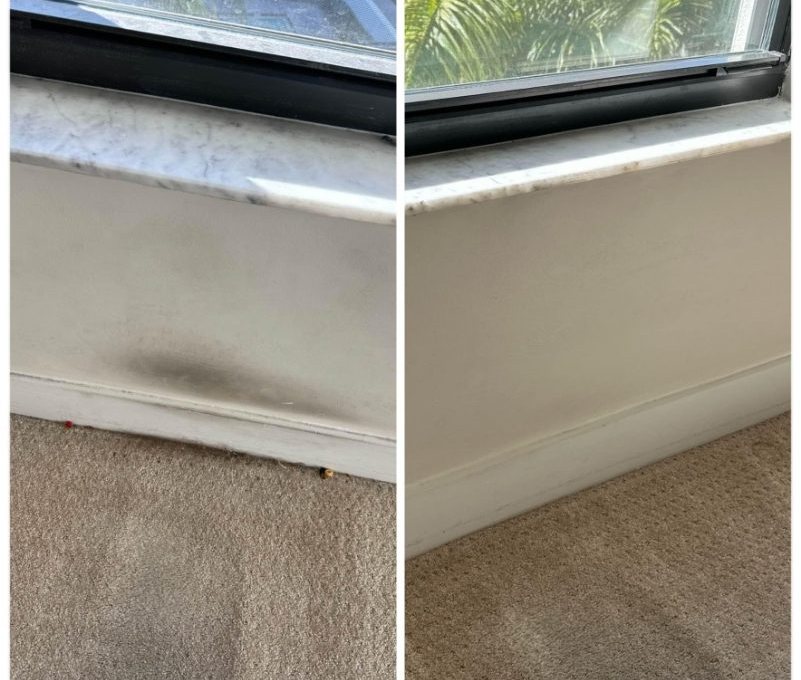 Before and after: baseboard and carpet edge, stain removed